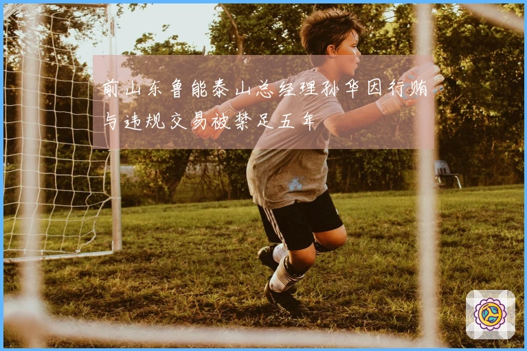 前山东鲁能泰山总经理孙华因行贿与违规交易被禁足五年