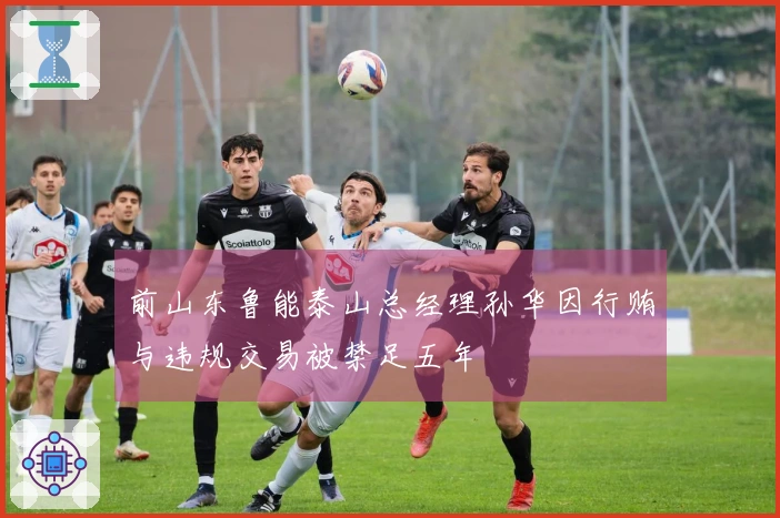前山东鲁能泰山总经理孙华因行贿与违规交易被禁足五年